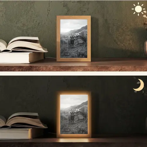 Schotse hooglander - Kalf - Zwart - Wit Light Box met kabel (Tafellamp) klein -sfeer3