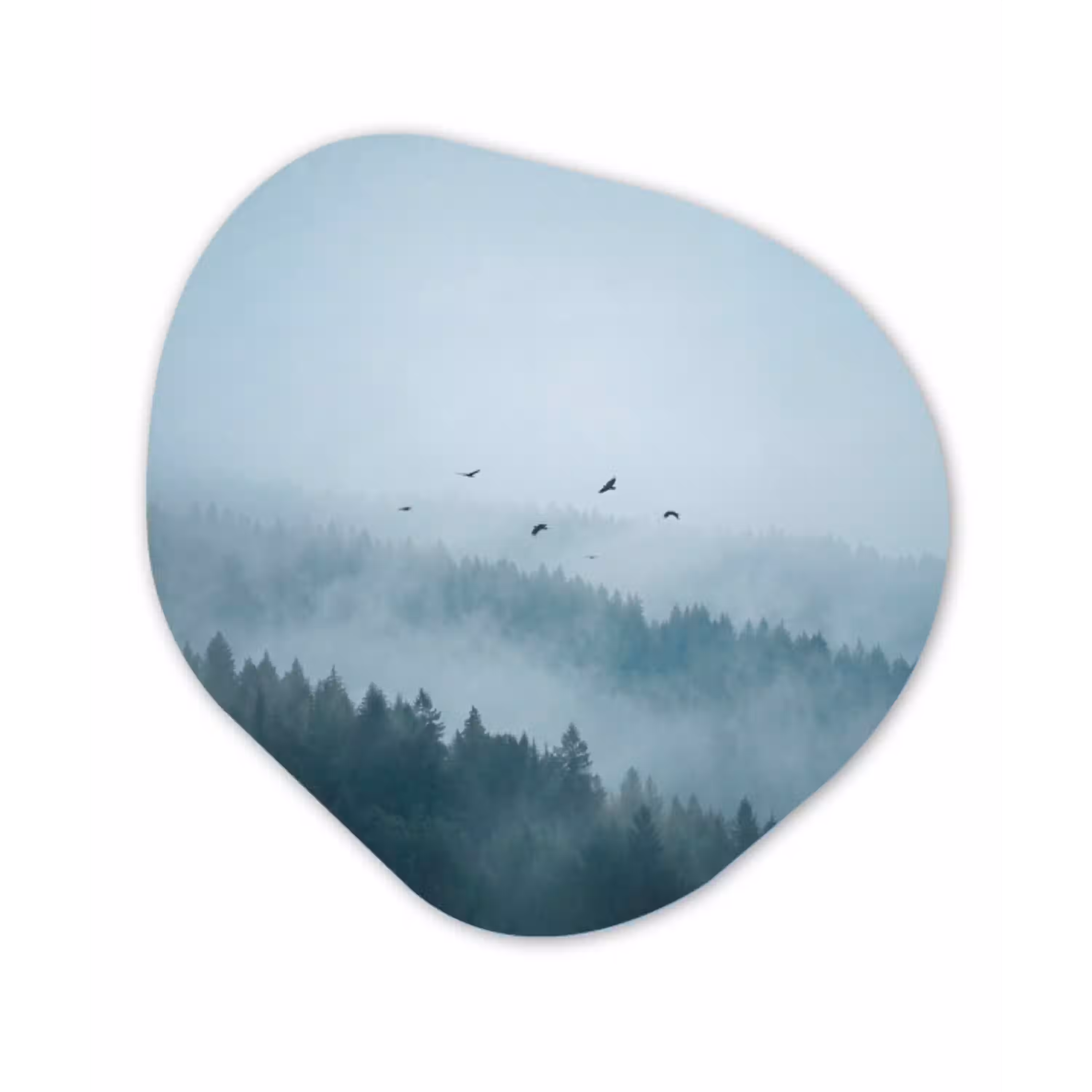 Bos - Mist - Vogels - Natuur - Groen Wandcirkel Organisch Aluminium middel -3d