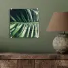 Tropisch - Inductie mat - Natuur - Inductie beschermer - Jungle plexiglas 5mm klein -sfeer3