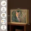 Vos - Oranje - Gras Light Box met batterij (Wandlamp) middel -USP_websiteoverzichtNL