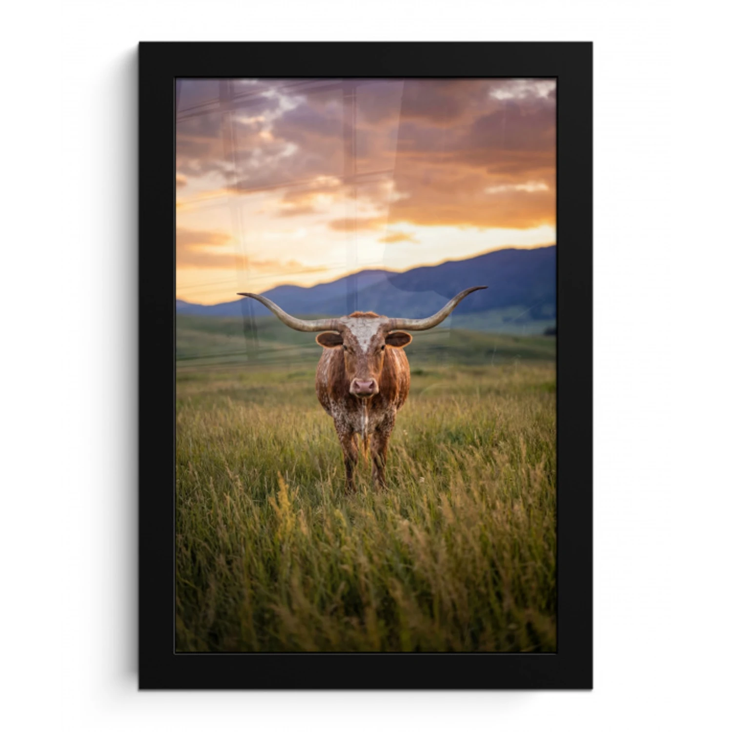 Longhorn - Landschap - Zonsondergang fotolijst zwart zonder passe partout klein -3d