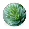 Blad - Plant - Groen - Textuur Wandcirkel aluminium klein -3d