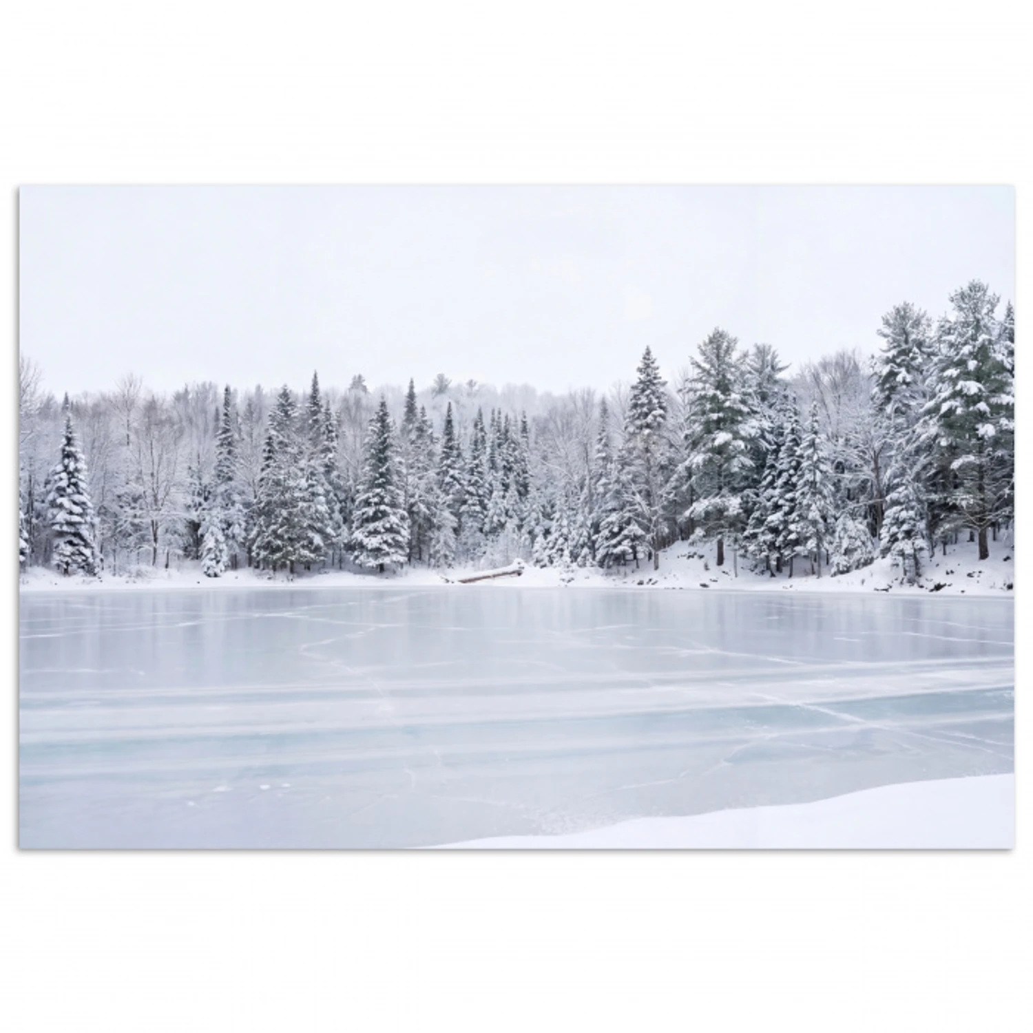 Meer - Dennen - IJs - Winter - Rustgevend poster papier klein -3d