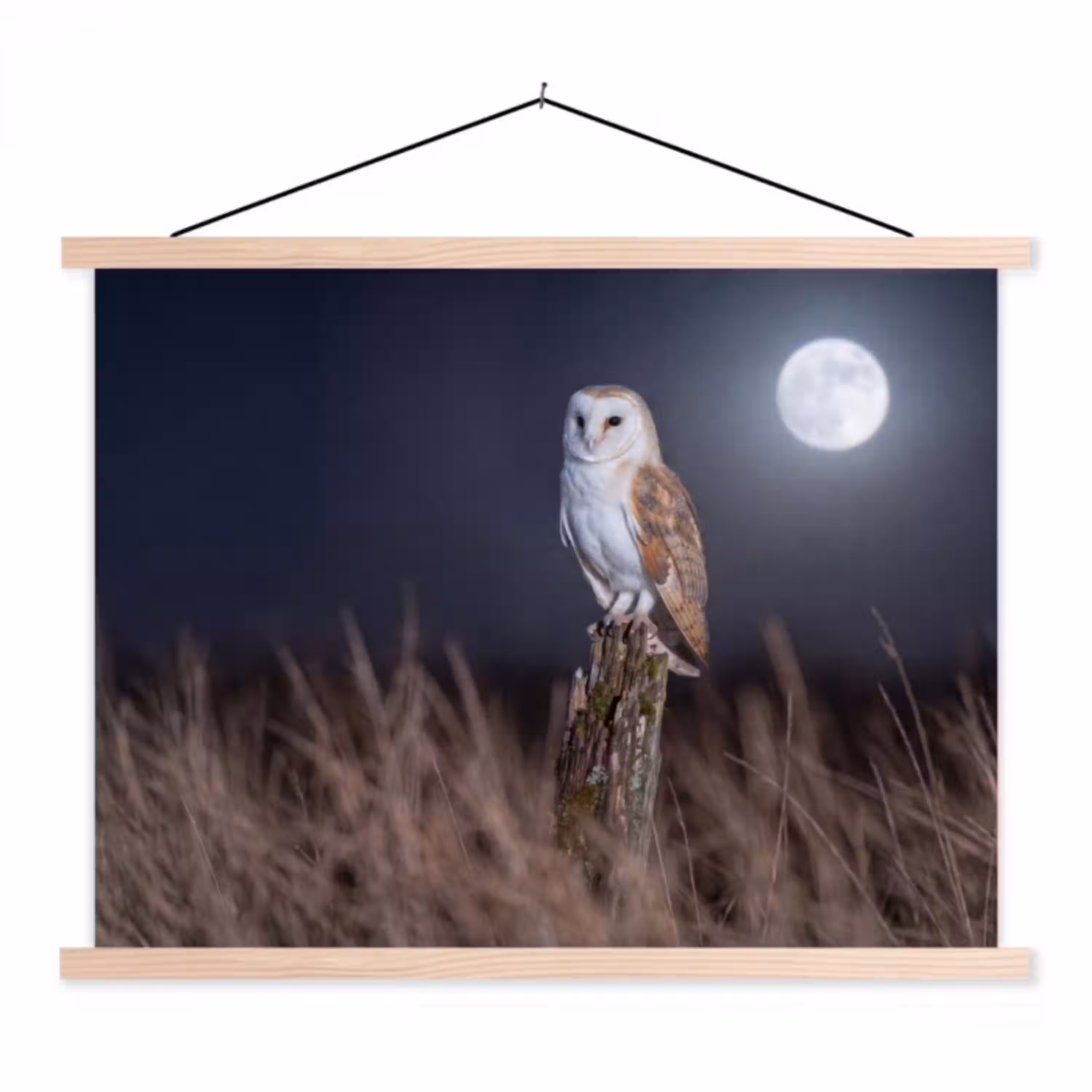 Kerkuil - Maan - Nacht textielposter latten blank klein -3d