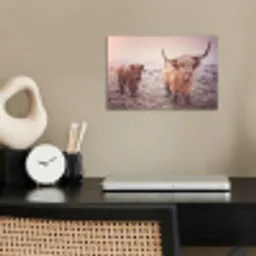 Schotse hooglanders - Licht - Lucht - Natuur poster papier klein -sfeer1