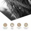 Schotse hooglander - Zwart - Wit - Sneeuwvlokken poster papier klein -closeup_NL