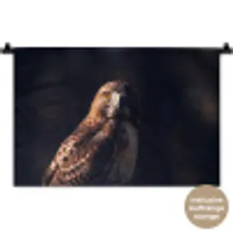Roofvogel - Buizerd - Bruin Wandkleed katoen klein -t3d_DE