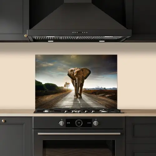 Olifant - Weg - Dieren - Zonsondergang - Landschap keuken achterwand spatscherm klein -sfeer1