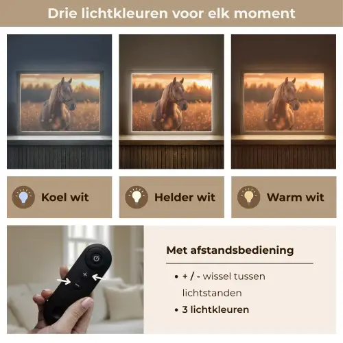 Paard - Natuur - Dier - Bruin - Dieren portret Light Box met batterij (Wandlamp) middel -USP_lichtkleurNL