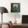 Anjer - Roze - Bloemblaadjes aluminium wit klein -sfeer5