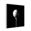 Golfbal - Minimalistisch - Wit aluminium wit klein -3d