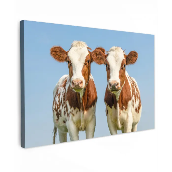 Koeien - Lucht - Dieren - Boerderij - Portret Tuinposter op houten frame 2 cm dik klein -3d