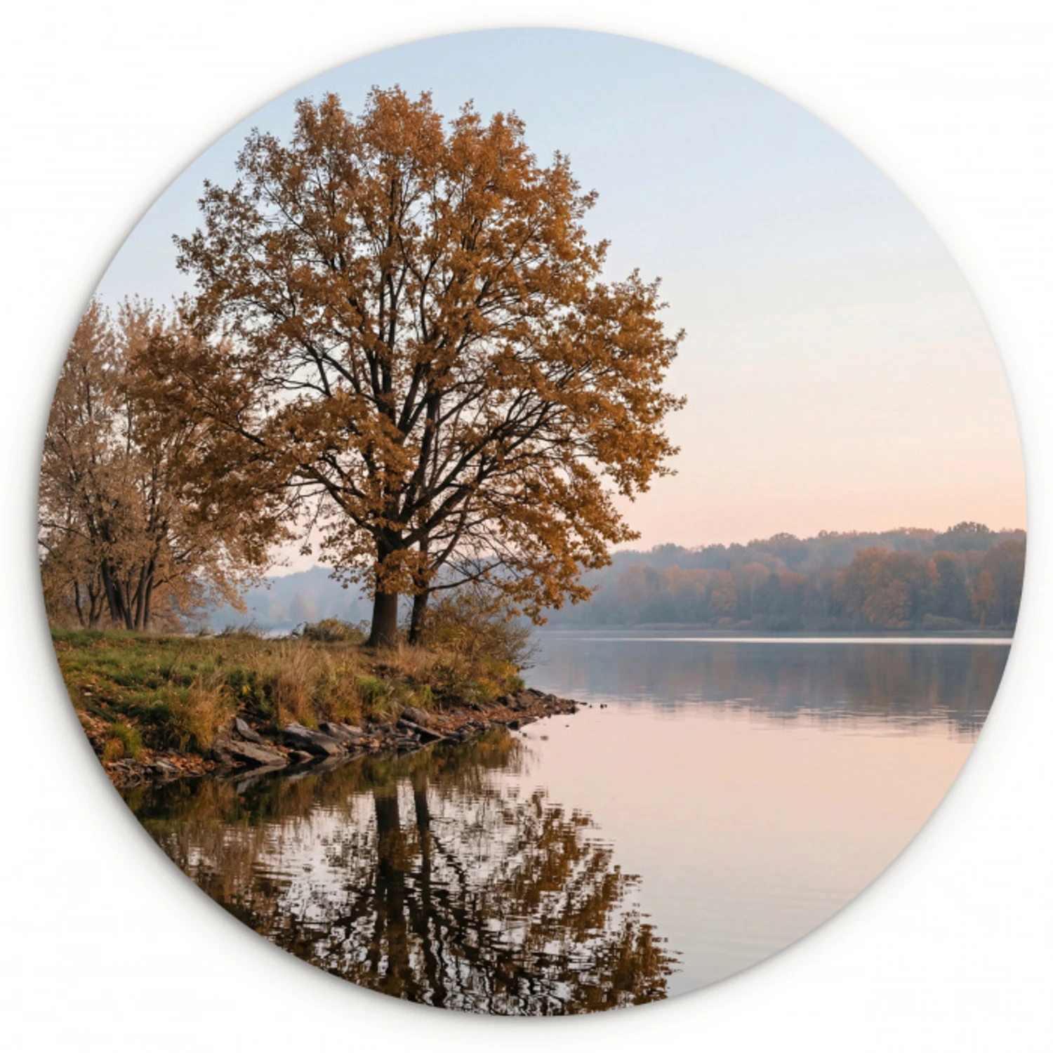 Bomen - Reflectie - Water - Zonsopgang - Serene Wandcirkel kunststof plaat 5mm dik klein -3d