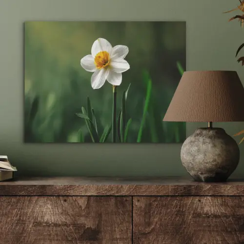Narcis - Bloem - Wit - Grassprieten PET vilt klein -sfeer2