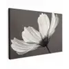 Bloem - Minimalistisch - Zwart - Wit Tuinposter op houten frame 2 cm dik klein -3d