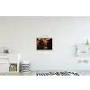 Schotse hooglander - Zwart - Koe - Hoorn - Dieren textielposter latten blank klein -kinderkamer