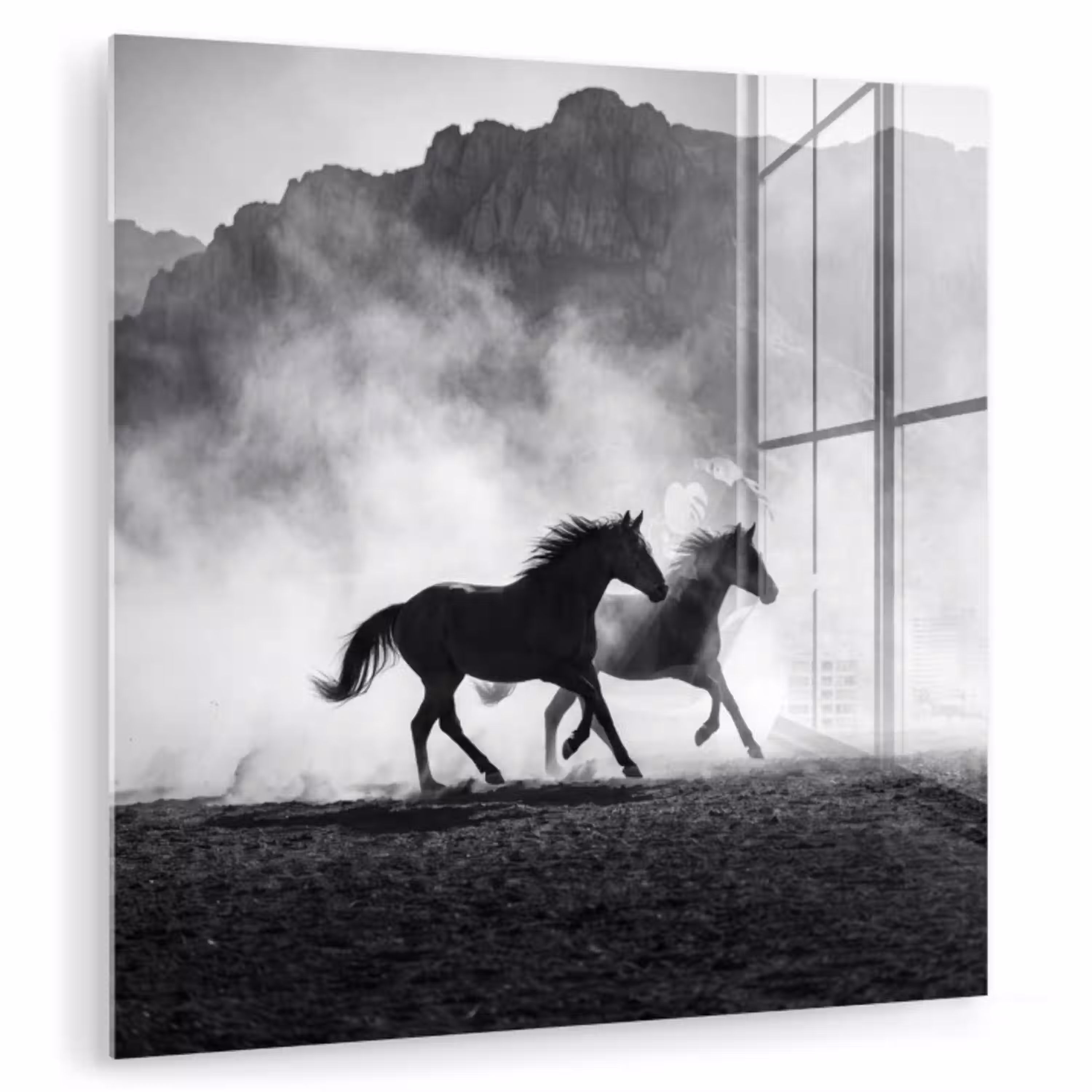 Paard - Ren - Stof - Zwart-wit - Dieren plexiglas 5mm klein -zzzproduct_nieuw