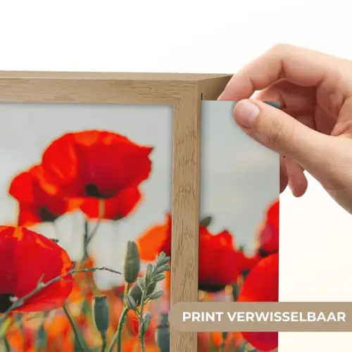 Klaproos - Bloemen - Rood - Paars - Weide Light Box met batterij (Wandlamp) middel -USP_websiteprintNL