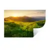 Gras - Heuvels - Zon - Natuur Muursticker klein -3d