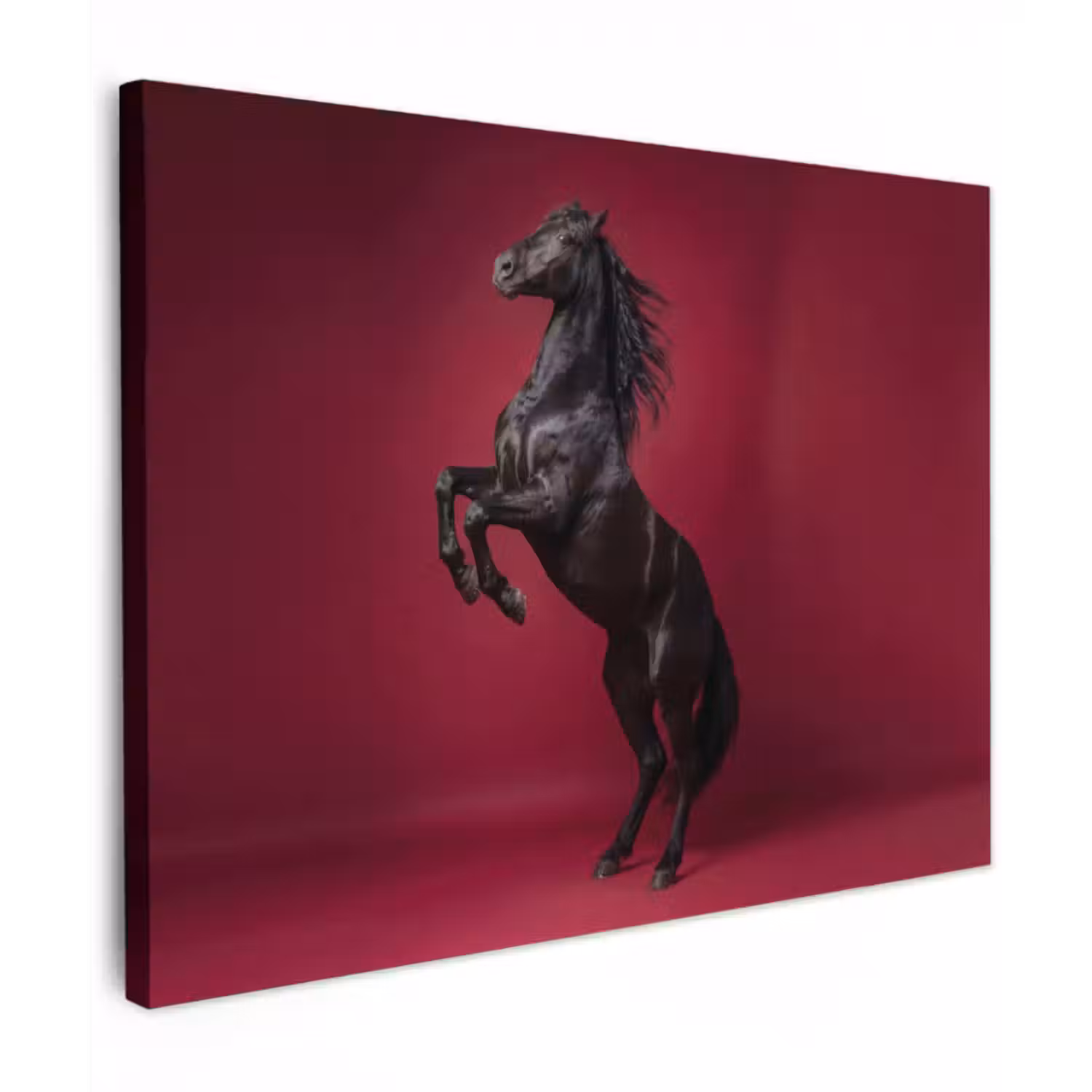 Canvas schilderij - Hengst - Steigert - Rood