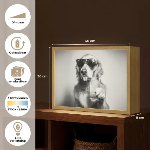 Golden retriever - Hond - Zonnebril - Gkas Light Box met batterij (Wandlamp) middel -USP_websiteoverzichtNL