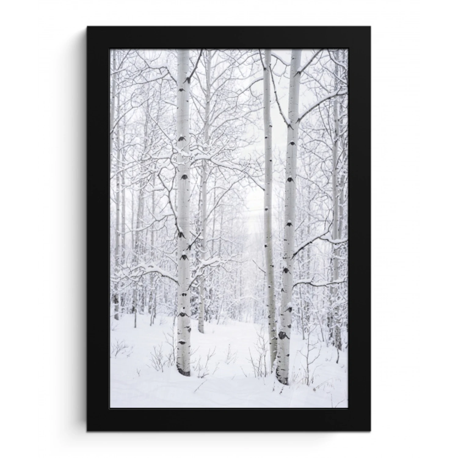 Berkenbomen - Sneeuw - Winter - Bos - Wit fotolijst zwart zonder passe partout klein -3d