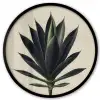 Agaveplant - Symmetrisch - Groen Fotolijst rond zonder passe partout klein -3d