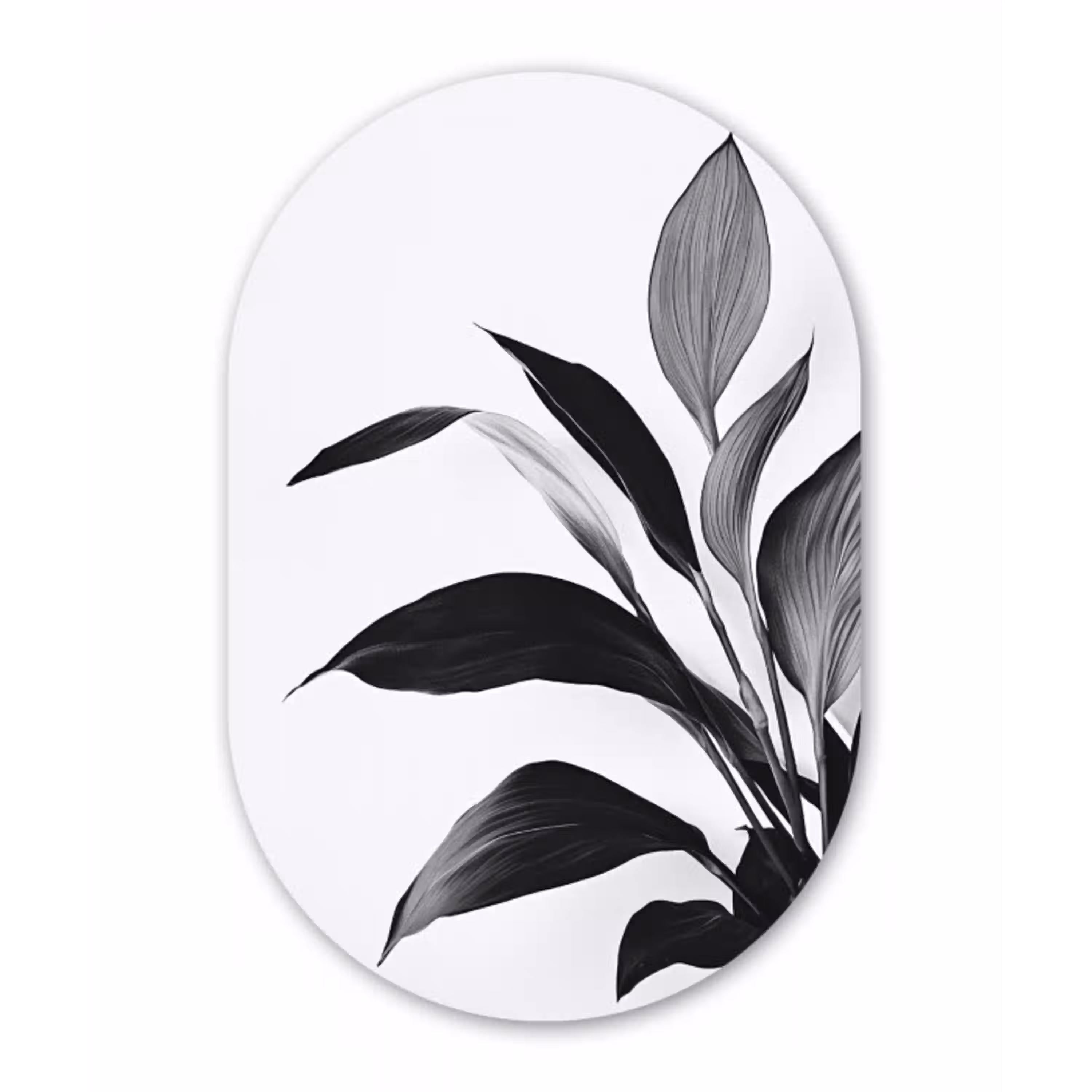 Plant - Bladeren - Minimalistisch - Zwart Wandcirkel Ovaal Glas middel -3d
