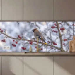 Pestvogel - Bessen - Winter - Natuur keuken achterwand 2 middel zz_3dshopping