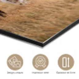 Runderen - Kudde - Landschap - Weide - Rustig aluminium wit klein -closeup_FR