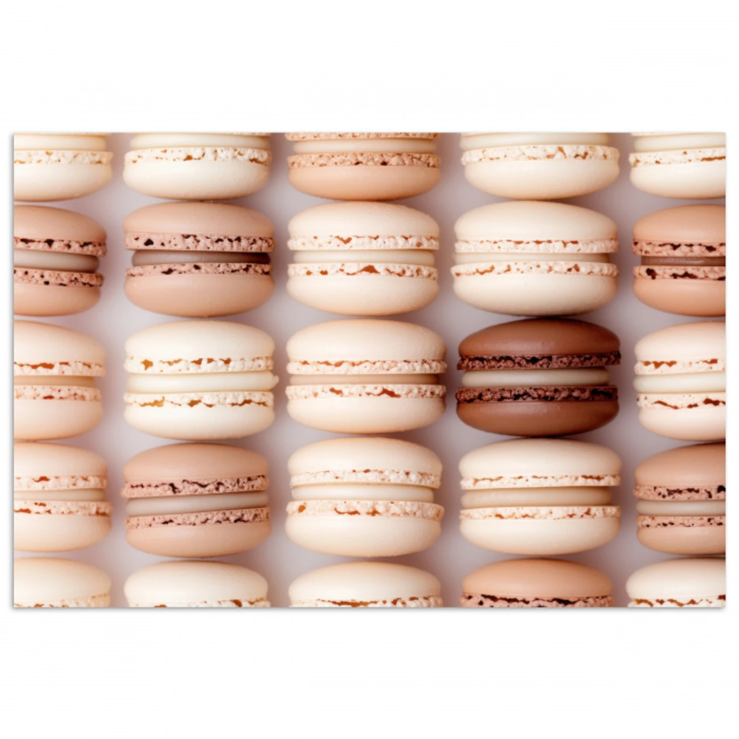 Macarons - Beige - Bruin poster papier klein -3d