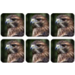 Buizerd - Roofvogel - Natuur - Bruin onderzetter kurk middel -zkaufland3dotto