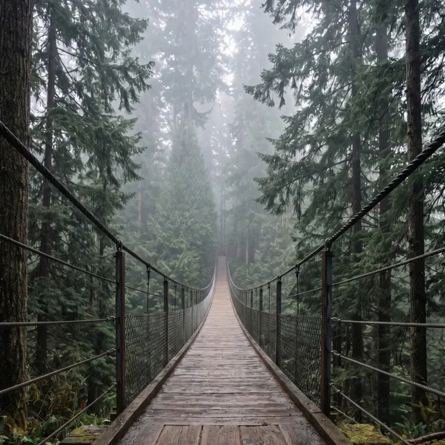 Behang - Brug - Bos - Mist - Natuur