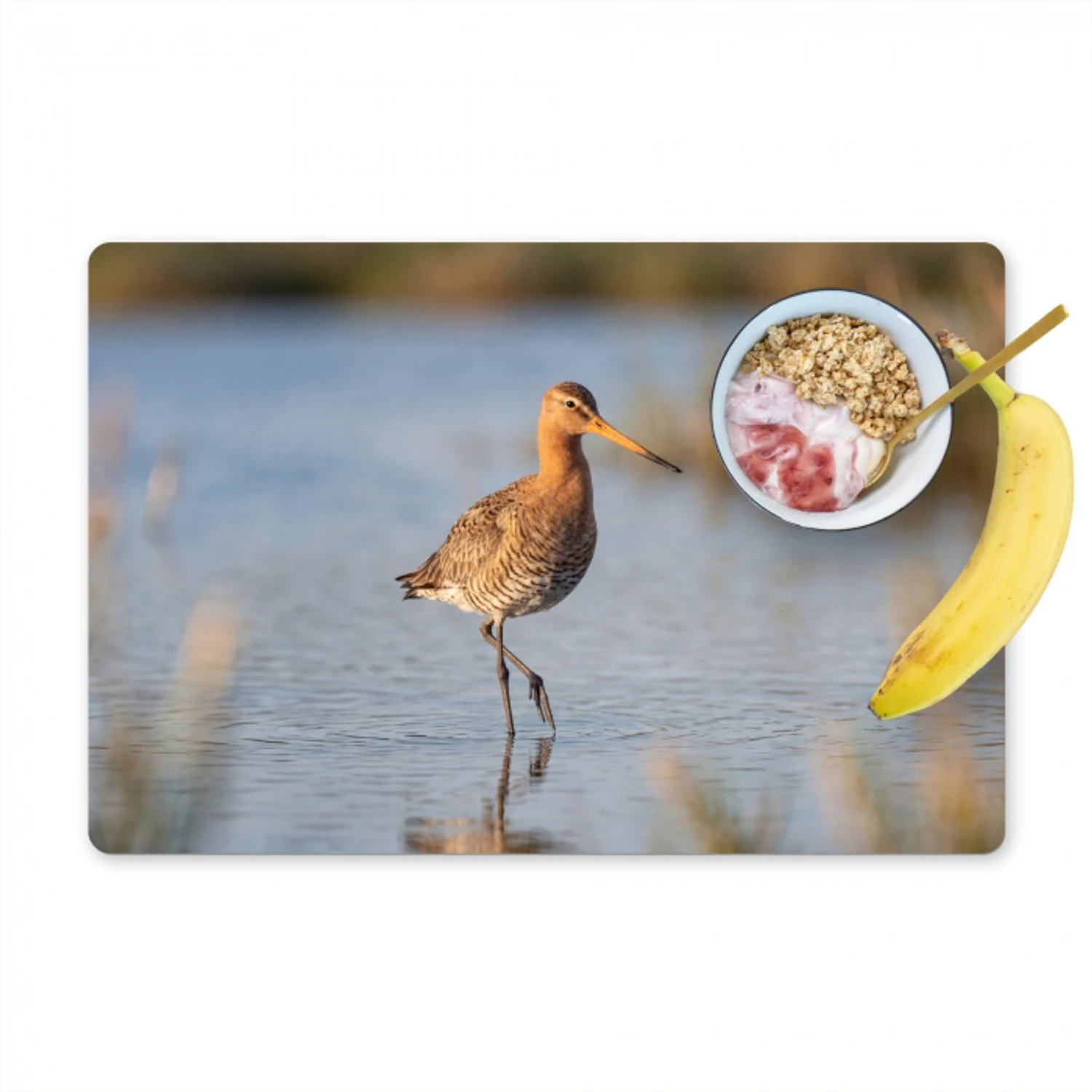 Vogel - Steltloper - Water - Natuur Placemat vinyl groot -zzzproduct_Kitchenyeah-website