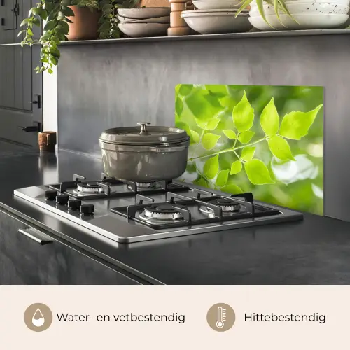 Natuur - Lente - Groen - Bladeren keuken achterwand spatscherm klein -usp_NL