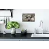 Schotse hooglander - Zwart - Wit - Hout Muursticker klein -keuken