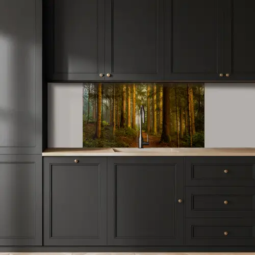 Bos - Natuur - Bomen - Landschap - Bladeren keuken achterwand 2 middel -sfeer1