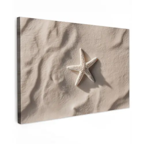 Strand - Zeester - Zand - Beige canvas 2cm klein -z3d