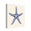 Blauwe zeester - Minimalistisch - Beige aluminium wit klein -3d
