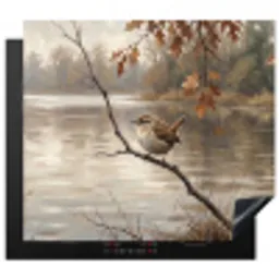 Winterkoninkje - Tak - Rivier - Natuur - Sfeervol Inductie beschermer vinyl 3mm middel -3d