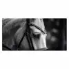 Paard - Schimmel - Portret Muismat XXL klein -3d_leeg