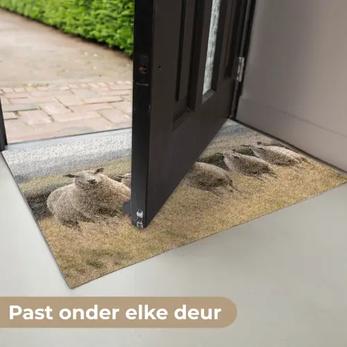 Schapen - Weidenlandschap - Heuvels Deurmat klein -USP_NL