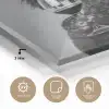 Hond - Krullen - Zonnebril - Wijn plexiglas 5mm klein -sfeer2