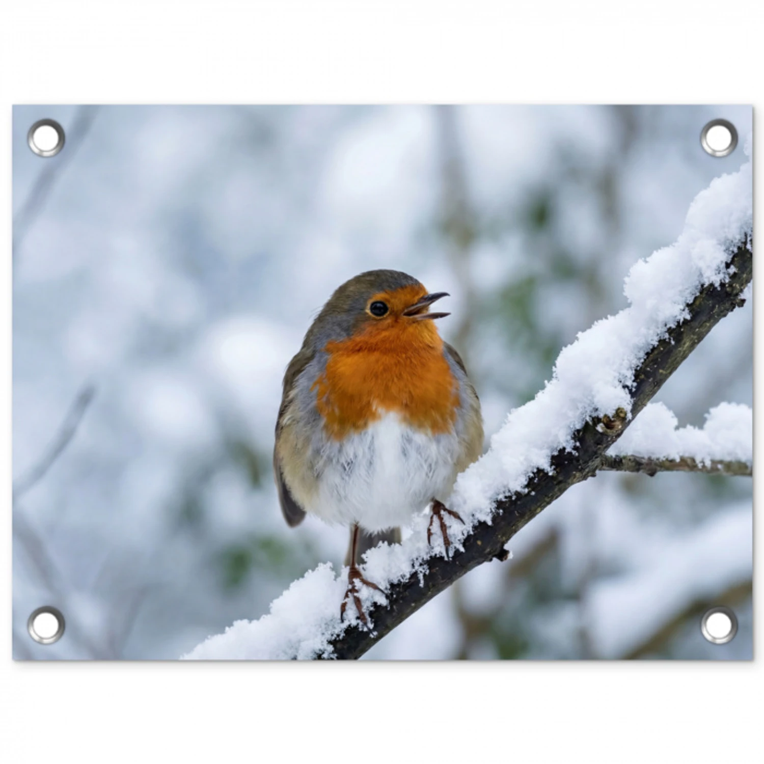 Roodborstje - Tak - Sneeuw - Winter - Levendig tuinposter los doek klein -3d