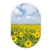 Zonnebloemen - Wolken - Natuur Wandcirkel Ovaal Forex klein -3d