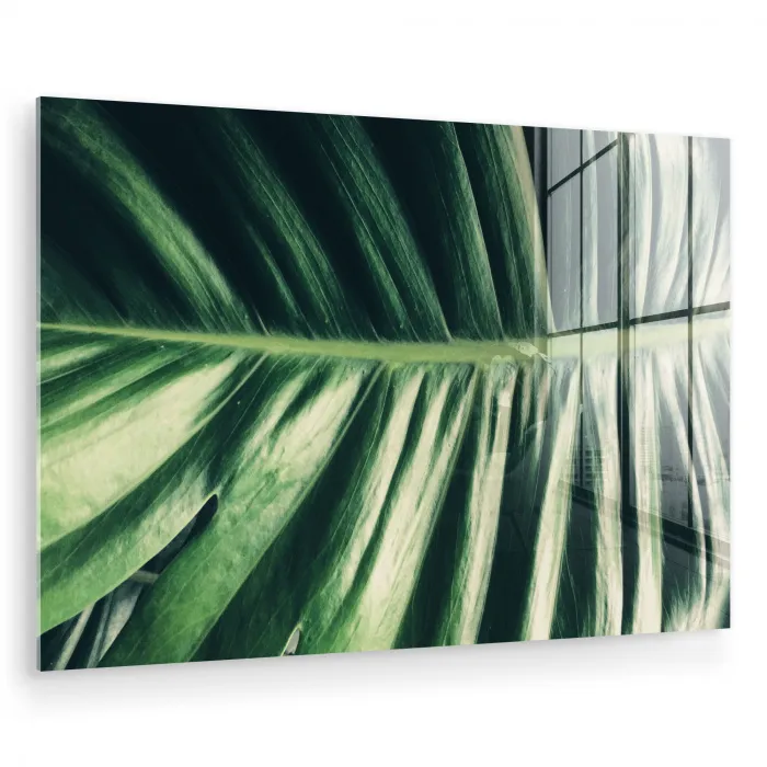 Bladeren - Tropisch - Jungle plexiglas 5mm klein -zzzproduct_nieuw