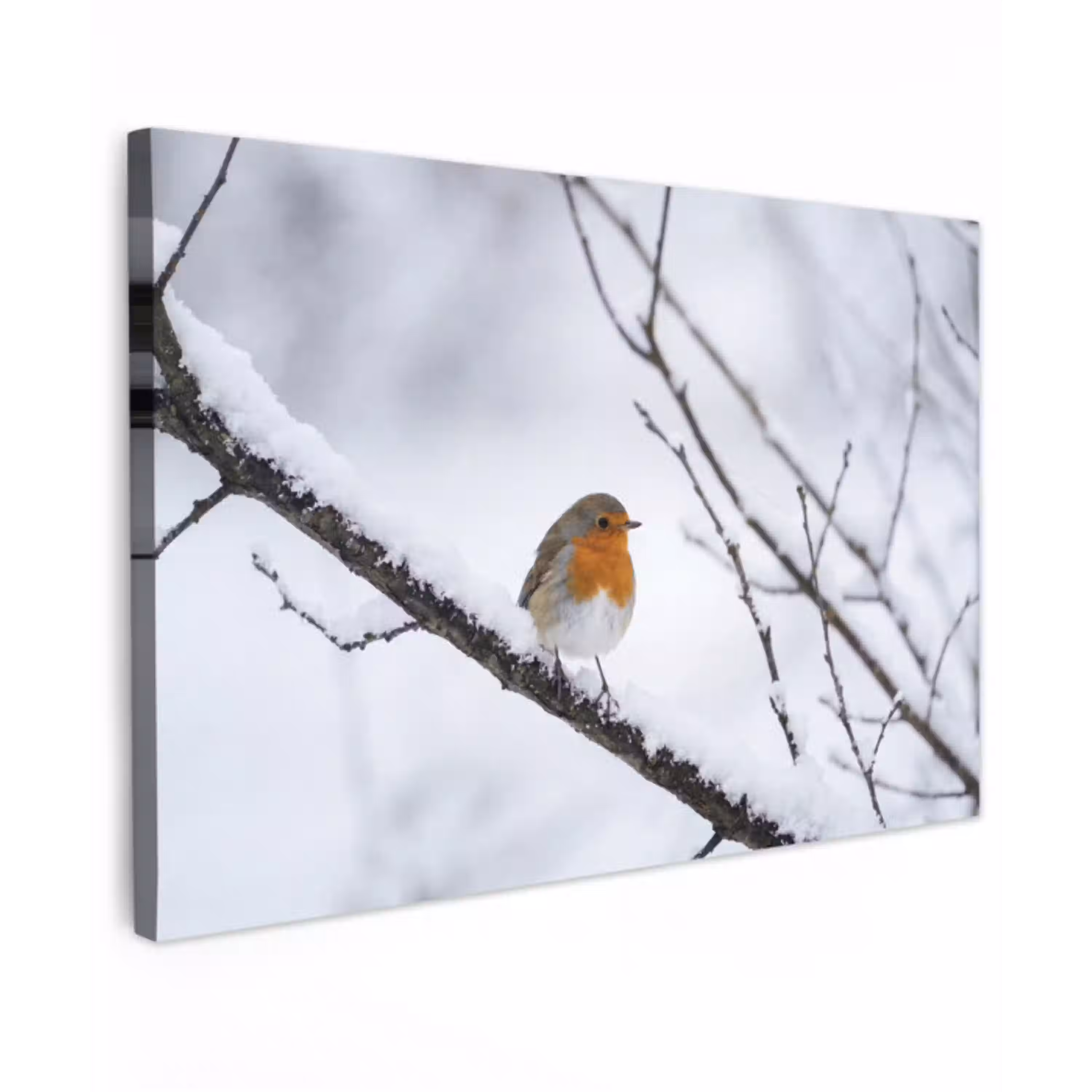 Roodborstje - Tak - Sneeuw - Winter - Levendig Tuinposter op houten frame 2 cm dik klein -3d