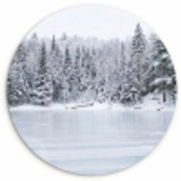 Meer - Dennen - IJs - Winter - Rustgevend Wandcirkel kunststof plaat 5mm dik klein -3d