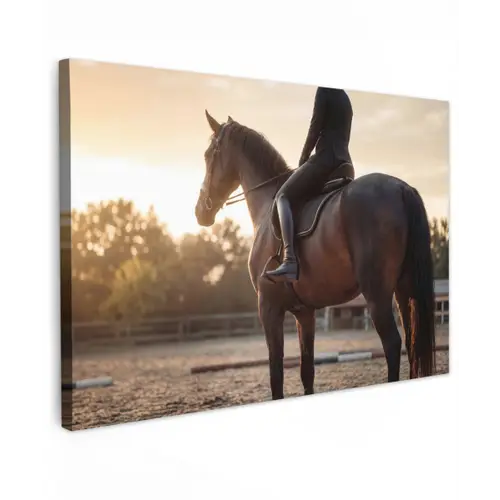 Harmonie - Ruiter - Zon Tuinposter op houten frame 2 cm dik klein -3d