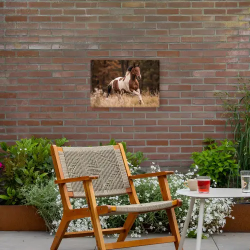 Paard - Bruin - Gras Tuinposter op houten frame 2 cm dik klein -sfeer3